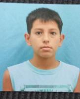 VALLEJOS, OCTAVIO NICOLAS