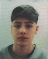 BREIT SILVA, VINCENT