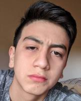 ZAPATA GORDILLO, RENZO LEONEL